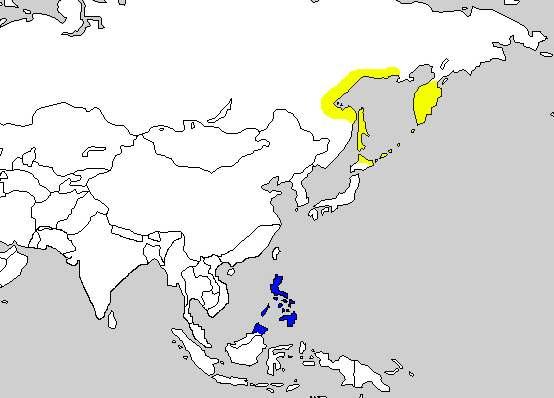 5-7. 알락꼬리쥐발귀 Middendorff's Warbler Locustella ochotensis 분포지 : 캄차카, 오호츠크해연안, 사할린, 쿠릴열도, 일본북해도동부와북부에서번식하고, 비번식 기에는필리핀, 보르네오북부에서월동한다. 현황 : 흔하지않게통과하는나그네새이다.