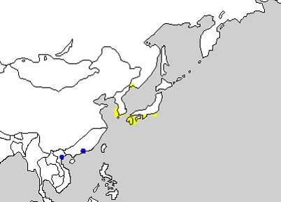 5-8. 섬개개비 Pleske's Warbler/Styan's Warbler Locustella pleskei 분포지 : 러시아블라디보스토크연안에위치한섬, 일본남부와한국남 서해안에위치한섬에서국 지적으로번식하고, 비번식기에는중국남동부와 베트남북부연안에서월동한다. 현황 : 남서해에위치한도서에서국지적으로다소흔 하게번식하는여름철새이다.