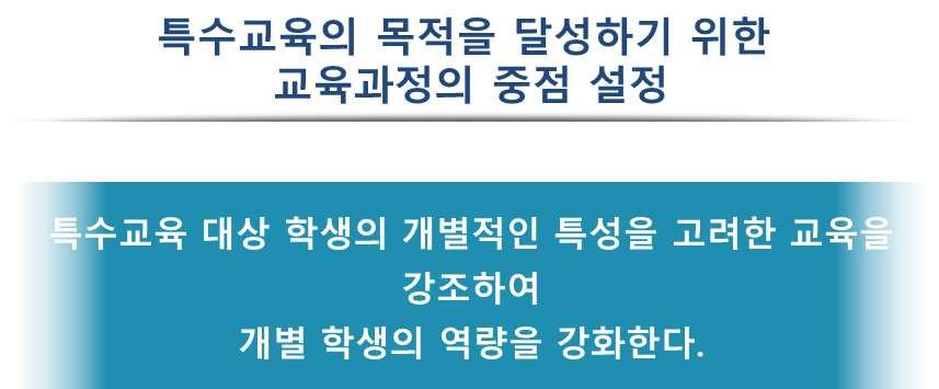 개정특수교육교육과정개요