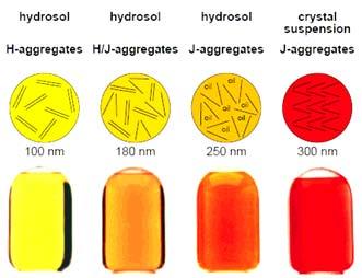 (C) 그림 5. β-carotene hydrosol 의회합체구조와입자크기에따른색변화와 자외 - 가시광흡수스펙트럼의변화. (C) J-type 과 H-type 의회합구조체의모식도. 과같다.