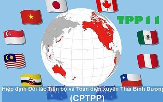 차기국회에상정한다 " 라고밝혔다. 참가국 11개국외에태국과콜롬비아등여러나라와지역이 TPP11참가의욕을보이는것에대해," 이협정의규정에동의하고참가국으로부터참가를인정받으면어떤국가 지역도참여할수있다 " 라고했다.
