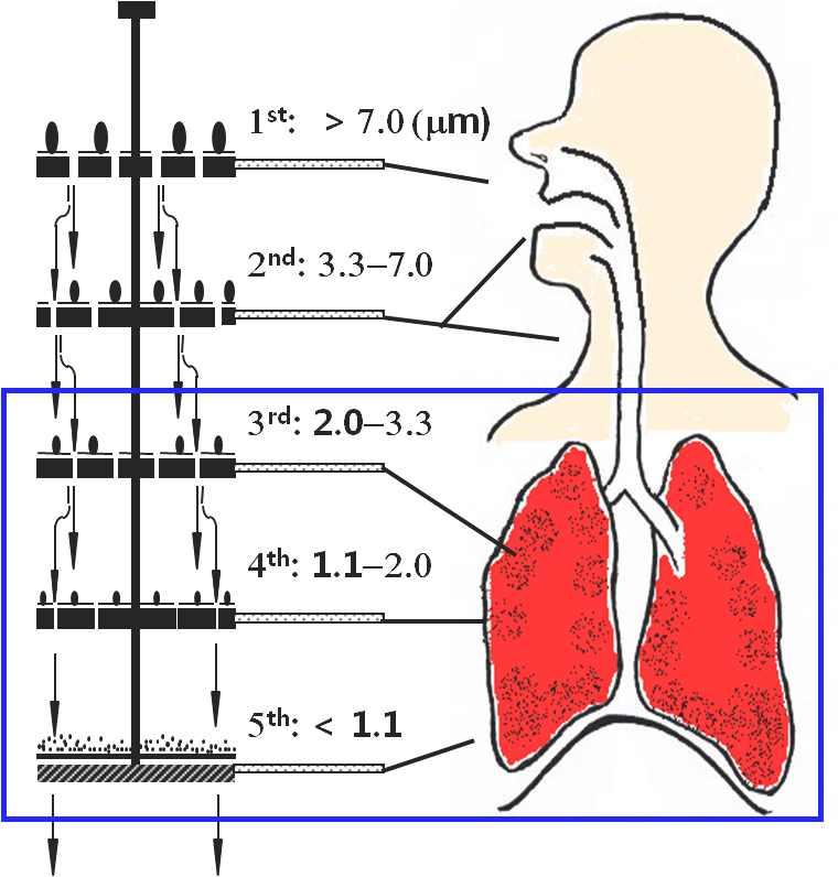 그림 17. 입자상물질의호흡을통한유입및침착 표 8. 국외입자상오염물질대기환경기준 기준시간 PM2.