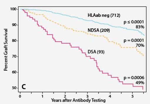 (B) For 195 patients who were tested, HLAab negative at the first testing, the 3-year graft survival after the second antibody testing was 79% and 94% (P=0.