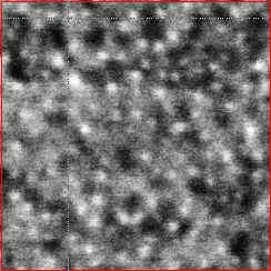 Spacing between Dendron Molecules on Surface SEM Image Distance between Dendron Molecules 80 70 60 Population 50 40 30 20 10 0 1.0 1.5 2.0 2.5 3.0 3.5 4.