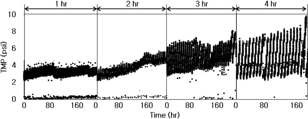 大韓環境工學會誌論文전오존이세라믹막의차압에미치는영향 659 Fig. 5. TMP as a function of backwash interval. Fig. 6. TMP as a function of backwash interval with 1 mg/l of pre-ozonation at 5 min of contact time. 3.