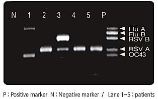DPO (Dual Priming Oligonucleotide) Conventional PCR DPO PCR < 기존방식의 Primer> <DPO