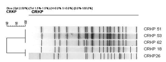 www.cdc.go.kr/phwr 주간건강과질병 803 Table 1. Antimicrobial susceptibilities of 10 carbapenemase-producing K. pneumoniae isolates, Nov. 2010-Jun.. Carbapenemase producing K.
