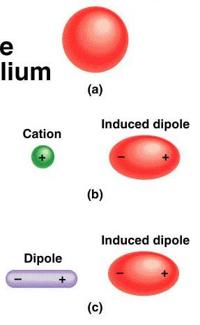 Intermolecular Forces ( 분자간힘 ) Dispersion Forces ( 분산힘