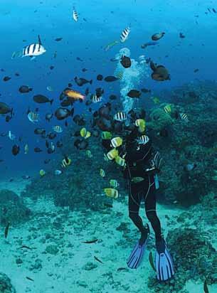 Diving Tour 열대비치문화와다이빙을동시에즐길수있는 Boracay