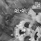 AE 잠금 [AEL] 이외에도설정을선택할때있습니다. 버튼을사용할수 [ 중앙 AF 잠금 ] 중앙포커스포인트에초점을맞춘다음, 버튼을누르면 AF 가잠겨질것입니다. ( 노출수치는 반 셔터를누르면잠겨질것입니다.
