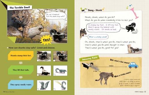 1. 심화책 14 페이지하단에해당표현에맞게체크 (V) 표시를잘해놓았는지확인합니다. Q: How can skunks stay safe? 2. 15 페이지하단의 스컹크가위험에처해있을때 라는주제의 Amazing Facts 부분내용에대해 아이와함께이야기를나눠봅니다. With Your Teacher 1.