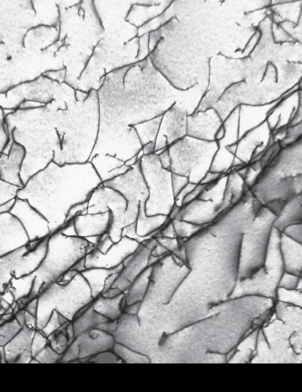 Imperfections in Solids 전위는 전자현미경(electron microscope)으로 관찰 가능. 아래 사진에서 검은 선 이 전위이다. Fig. 6.