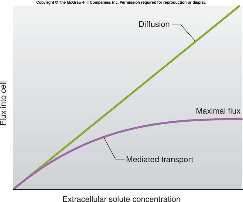 막에는여러종류의수송체가존재하며, 각각의수송체는특정한물질하고만결합하는결합부위를갖고있다. 아미노산수송체는당을운반하지못한다. 매개물질을통한용질의수송 1) 수송체의결합부위가포화되는정도로용질의농도와용질에대한수송체의친화도 2) 막에있는수송체의수 3) 수송체단백질의구조가변하는속도.