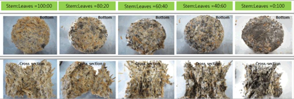 Mycelium density by mixing condition in culture pot ( 60 mm, 500 ml) Mycelial density Condition 1) H. erinaceum2) P. linteusd3) G.