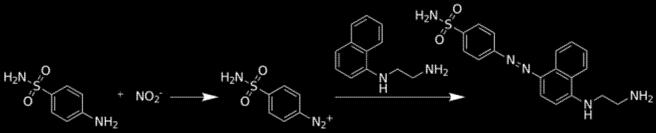2.2.5. Nitric oxide 측정 그림 11. Griess 시약을이용한 nitrate 발색법 (https://en.wikipedia.