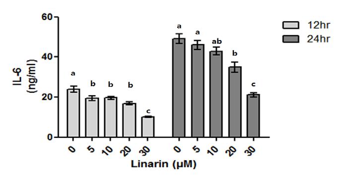 3.3. 염증성사이토카인생성변화 - 실험에서 Tumor necrosis factor (TNF-α), Interleukin-1β (IL-1β), Interleukin-6 (IL-6) 총 3가지의대식세포가 LPS