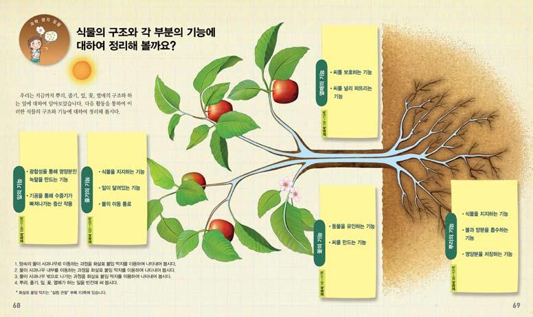 11 1 12 차시 1. 물의이동과정을뿌리, 줄기, 잎, 열매에나타낼수있다. 2. 뿌리, 줄기, 잎, 열매에관한글쓰기를할수있다.