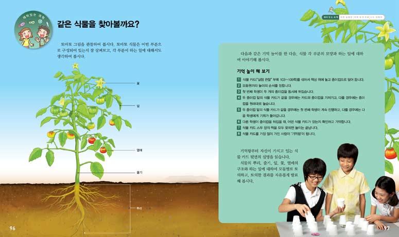 1 12 차시 학습목표 같은식물을찾아볼까요? 주요개념과후속차시 뿌리의구조와기능 : 2~3차시 줄기의구조와기능 : 4~5차시 잎의구조와기능 : 6~8차시 꽃, 열매의구조와기능 : 9~10차시 잎, 줄기, 뿌리, 꽃, 열매의관련성 : 11차시 1. 기억놀이를통해식물의구조와기능에대해흥미를갖는다.
