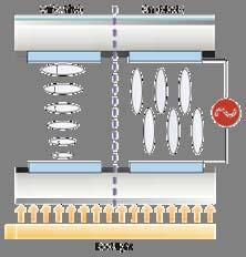 LCD 에서의편광자의역할 LCD 적용의예 TN mode IPS