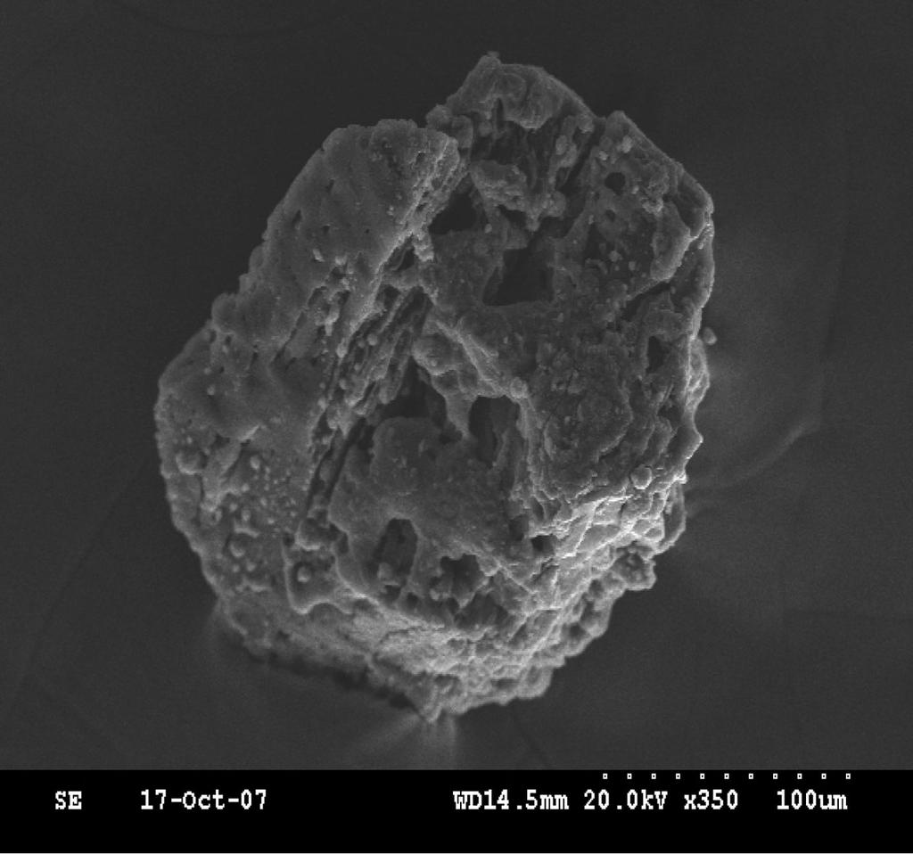230 강승엽 조기철ㆍ이규홍ㆍ오광중 (a) (a) (c) (d) Fig. 6. Scanning Electron Microscope images of DRS7 sorbent. (a):350x, (b):1000x, (c):1500x, (d):2000x 4.3. SEM 측정 Fig.