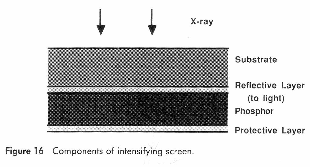 Intensifying Screens To convert invisible X-rays to visible photons Fluorescent screen A layer of phosphor with 0.05~0.