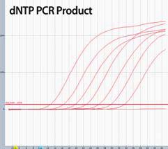 TaqMan Probe Method Product 03 AccuPower Plus DualStar TM qpcr PreMix & 2X Master Mix (with UDG) Carryover Contamination 을제거한 TaqMan Probe 방식의 HotStart Real-Time PCR 제품개요 특장점 AccuPower Plus DualStar