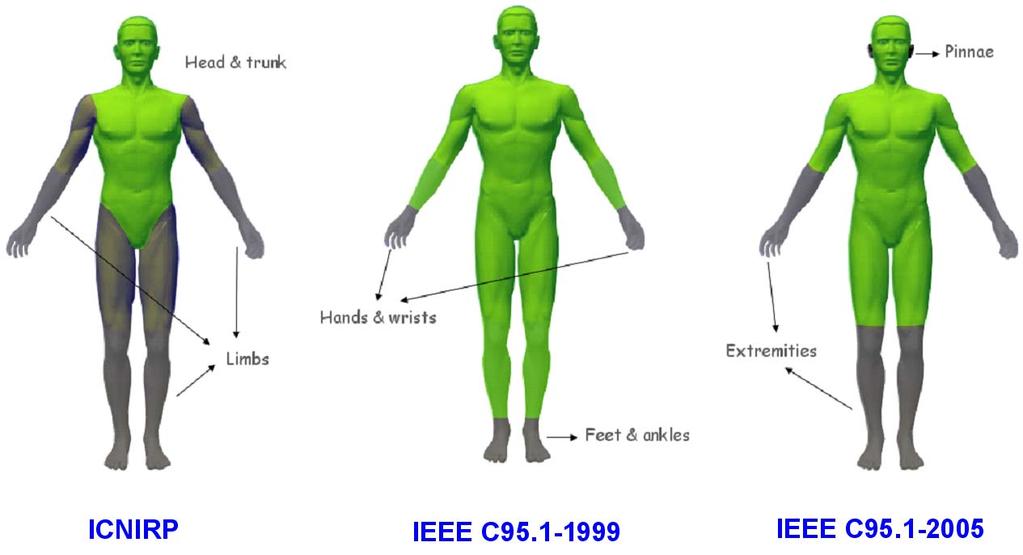 韓國電磁波學會誌第 17 卷第 4 號 2006 年 10 月 [ 그림 1] ICNIRP 와 IEEE 에서정의하는국부 SAR 부위의비교 [