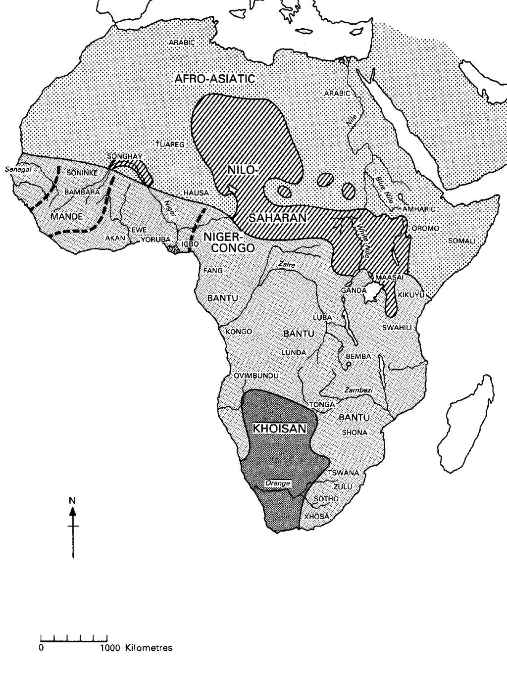 지도 1 아프리카언어의계통분류 (Shillington 1993:50)