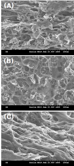 Fig. 2. SEM images of the PCL scaffold surface by dry condition( 400).