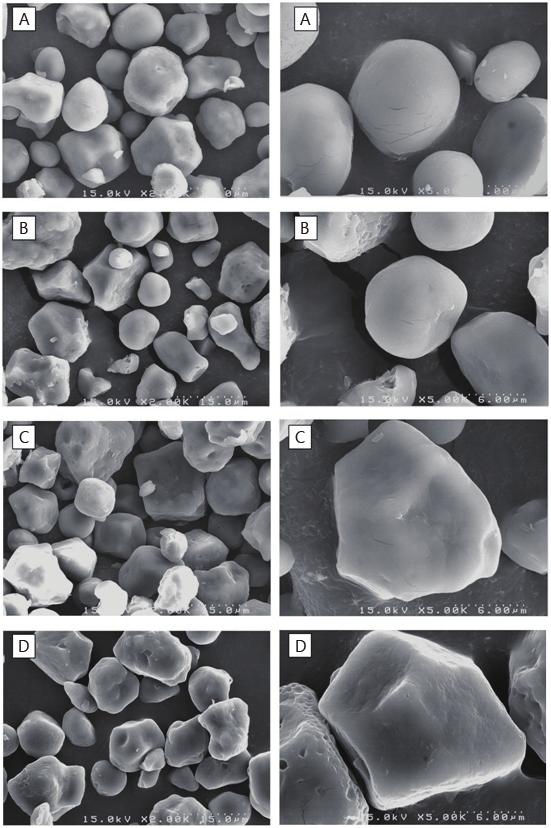 7 Scanning electron microphotograph (SEM) of native and cross-linked corn starch prepared with different levels of