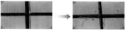 Adhension Test에서는 ASTM D3359의표준방법을따랐으며, 광학현미경으로어느특정부분을확대하여그결과를그림 5에서나타내었다.