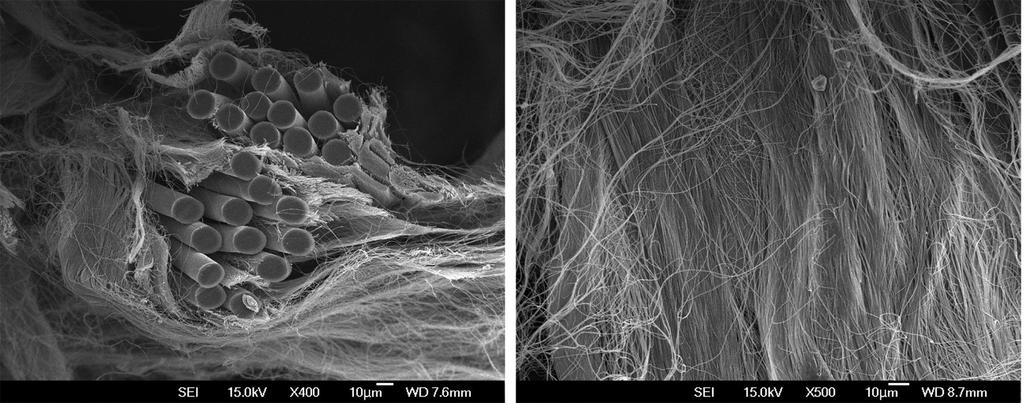 350 박영기 조아라 이정진 Textile Science and Engineering, 2015, 52, 344-352 Figure 8. SEM images of N400-1 after alkaline treatment with 2 wt% NaOH and 1 wt% penetrating agent at 95 oc for 20 min. Figure 9.