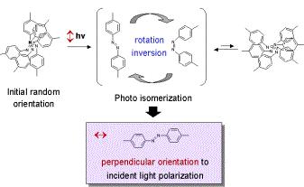 Photo-Responsive Polymer Molecular Migration Polarization <Surface Relief Grating> Photo-Responsive Azo-dye benzene copolymer C