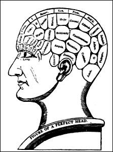 뇌의연구 (19 세기 ;