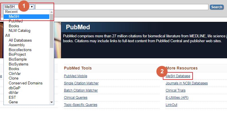 MeSH Database 를이용하여 PubMed 검색 1. PubMed 검색창에서 MeSH 선택후검색 2.