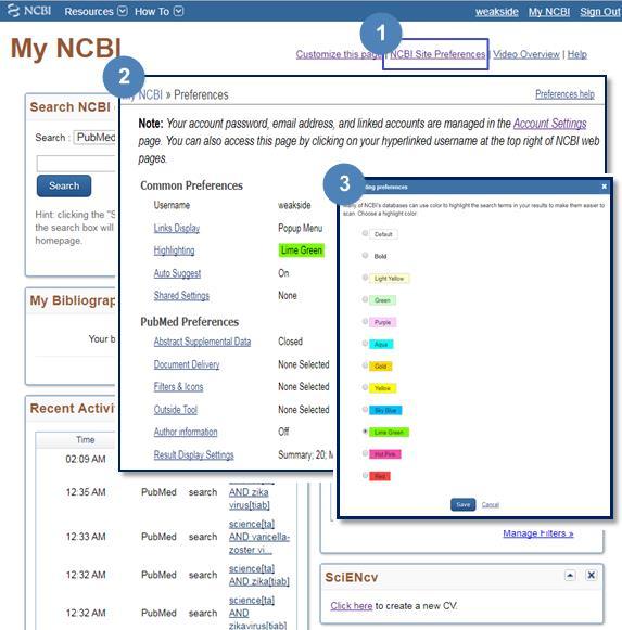 HighLighting NCBI 회원가입후이용가능 검색결과형광펜기능 My