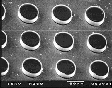 현재대부분의하이드로젤마이크로어레이는기존의하이드로젤합성방법에포토리소그래피 (photolithography), 마이크로몰딩 (micromolding), 마이크로스팟팅 (microspotting) 과같은기술미세가공기술을결합하여제조된다.
