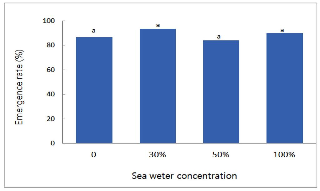 벼수확전청보리파종재배시친환경적뚝새풀관리 15 Fig. 2. Effects for emergence of barley according to the application concentration of sea water. Sea water was applied foliar on pre-emergence of barley.