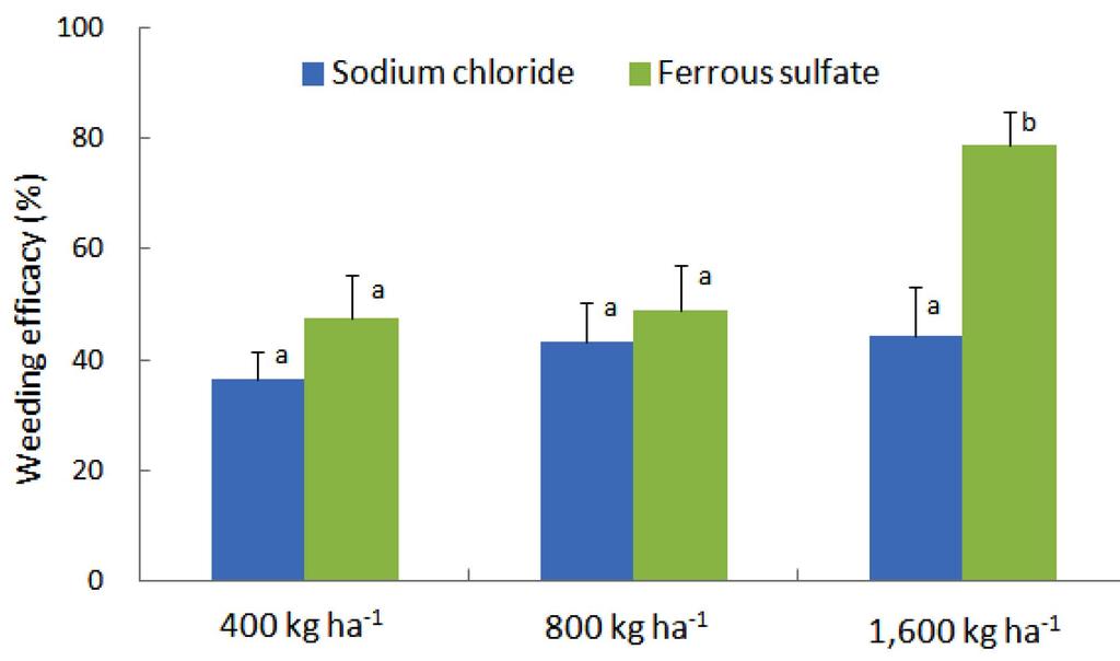 16 임일빈 임보혁 박재현 장준형 오영진 장윤우 Fig. 5. Weeding efficacy according to application rate of sodium chloride and ferrous sulfate. Data collection was on Nov. 19, 2012.