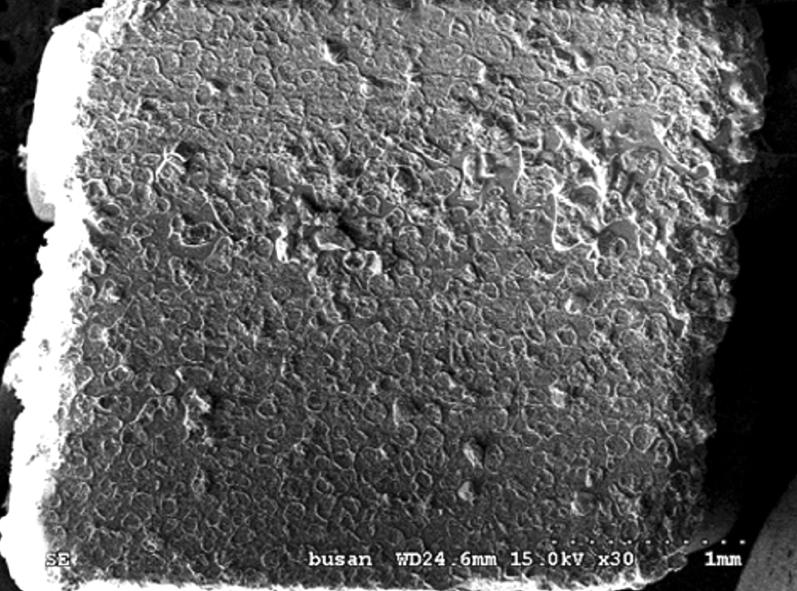 9 1 - - - Zi-ceram/Vintage ZR (NT) 10 - - - - T, thermocycled; NT, non thermocycled; NS, not significant. χ 2 = 4.138. NS Fig 4. SEM photograph of failure site (magnification 30).