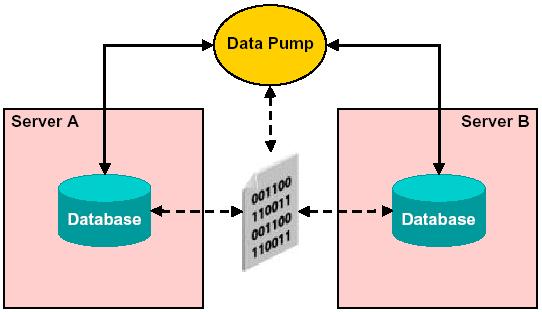 Oracle Database 10g Data Pump Oracle9i Export 60%