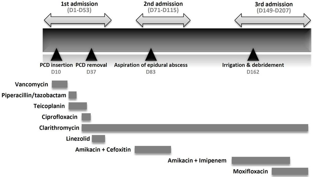 - 대한내과학회지 : 제 83 권제 2 호통권제 624 호 2012 - Figure 2. Timeline for antibiotic treatment and surgery. Gray bars indicate the approximate duration of antimicrobial treatment.