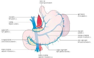 위창자간막정맥 + 지라정맥 간문맥 샘창자의림프관 동맥따라분포 앞림프관 pancreaticodudodenal nodes