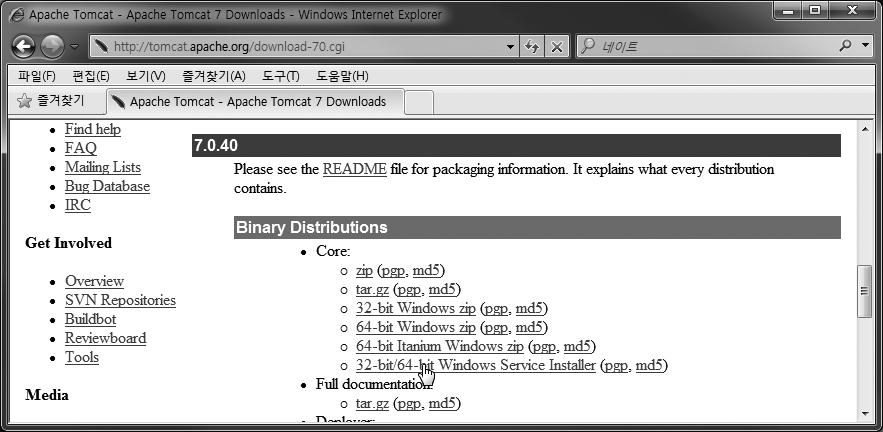 40 밑에 Binary Distributions / Core 영역의 32-bit/64- bit Windows Service
