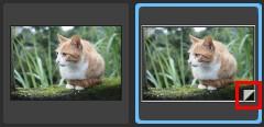 PhotoDirector 작업 영역 가상 사진은 사진 브라우저 패널에서 아래 표시된 것처럼 표시됩니다. 가상 사진은 하드 드라이브에 저장된 실제 사진이 아닙니다.