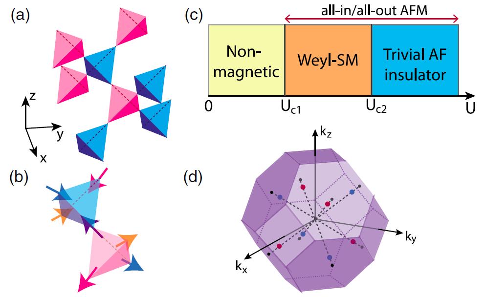 강상관계물질연구단 Fig. 3. (a) Structure of the pyrochlore lattice. (b) Local spin structure of the all-in all-out antiferromagnet.