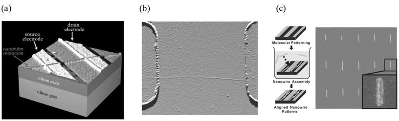 KIC News, Volume 12, No. 4, 2009 15 Figure 2. 탄소나노튜브트랜지스터. (a) 미리패턴된전극에나노튜브를뿌려제작한탄소나노튜브트랜지스터 [1] (b) patterned growth 를이용하여기판에직접나노튜브를성장시킨후전극을붙인소자의 AFM 사진 (c) 자기조립에의해원하는위치에고정화된탄소나노튜브 [3].
