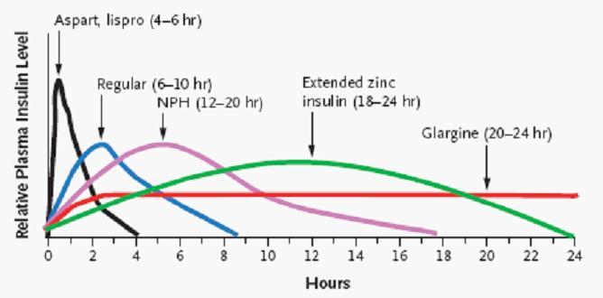 Short acting Regular Insulin HUMULIN-R 1000IU/10ML( 릴리 ) 30-60min 2-3hr 8-10hr 기저인슐린 : Basal insulin Intermediate NPH ( 혼탁 ) HUMULIN-N 1000IU/10ML( 릴리 ) Humulin N HUMULIN-N KWIK PEN 300IU/3ML