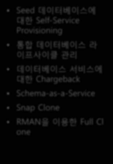 통합데이터베이스라이프사이클관리 데이터베이스서비스에대한 Chargeback Schema-as-a-Service Snap Clone