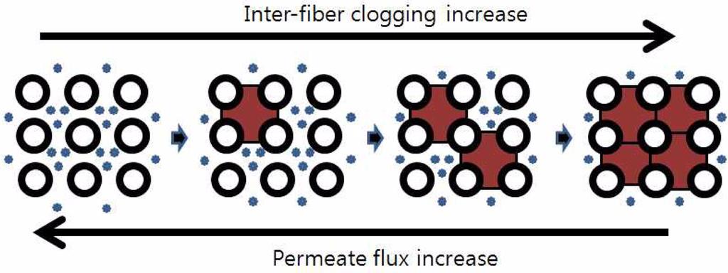 114 이상민 권오경 Fig. 8. Inter-fiber sludging on hollow fiber membrane bioreactor. 서 10 분으로임계막간차압에도달하는소요되는시간이짧을수록막오염속도가빠르다는사실을고려할때동일한투과유속을가지고있어도중공사의밀도및배열의차이가막오염에영향을미칠수있음을나타내고있다. Fig. 8 에서여과시간대에따른막간차압곡선을살펴보면곡선의경사가급격히증가하는지점이있는데이지점이전범위는콜로이드나고분자에의한분리막공극의내부오염으로분리막표면에겔층이형성되는범위이며이후범위는슬러지케익에의한막오염이주를이루는영역이다.